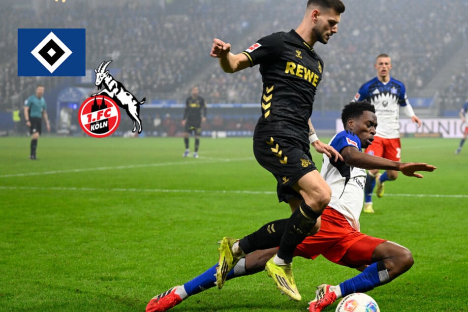 HSV empfängt den 1. FC Köln: Beide Trainer erwarten schwere Partie