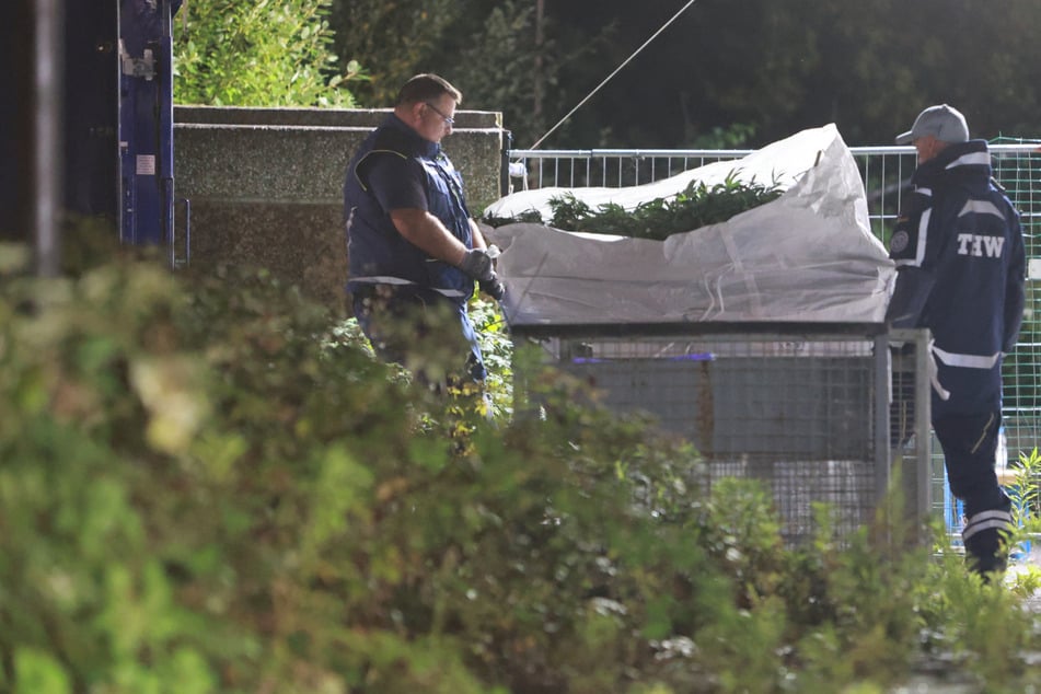 Drei Festnahmen nach Drogenrazzia in Ballenstedt
