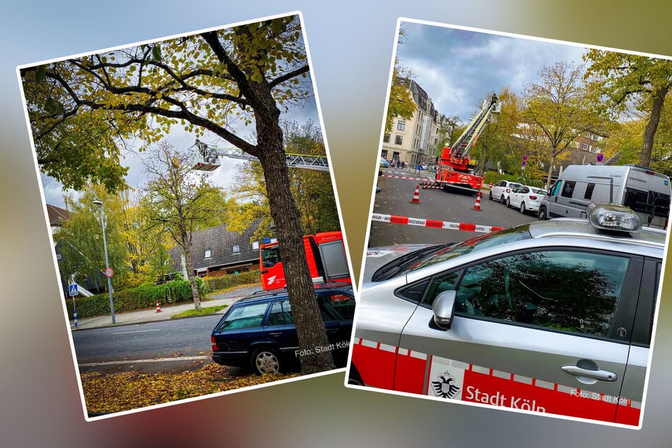 Die Feuerwehr Köln wurde zu einem ungewöhnlichen Einsatz gerufen.