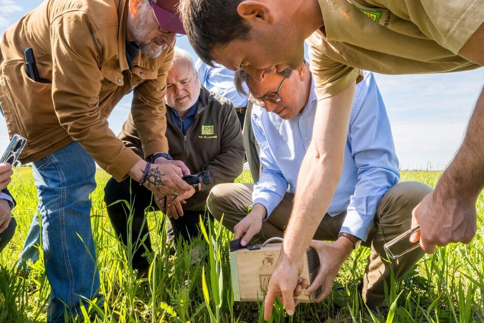Sachsens Landwirtschaftsminister Georg-Ludwig von Breitenbuch (55, CDU, 2.v.r.) lässt einen Hamster frei, der Leipziger Zoodirektor Jörg Junhold (62, 2.v.l.) beobachtet das Geschehen.