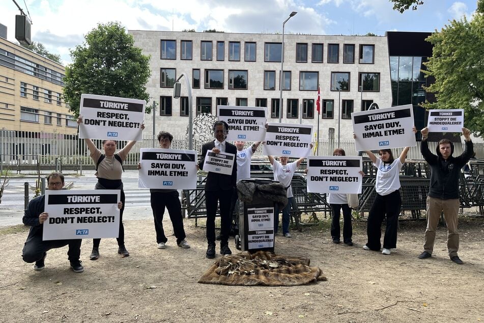 Vor der türkischen Botschaft in Berlin protestierte die Tierschutzorganisation PETA gegen die Tötung von Straßenhunden.