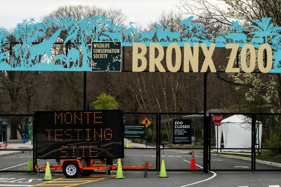 The Bronx Zoo fought to keep Happy in captivity.