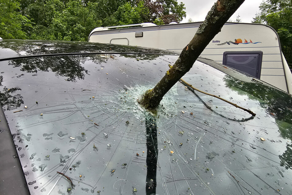 Durch einen heftigen Sturm stürzte in der Nacht zu Dienstag ein Baum auf zwei Autos in Wildenfels.