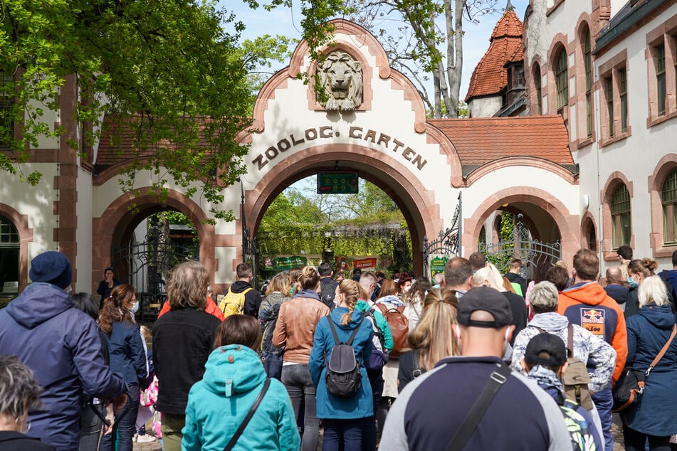 Leipzigs Ratsversammlung hat einer Kostensteigerung um 15 Millionen Euro für den "Zoo der Zukunft" zugestimmt.