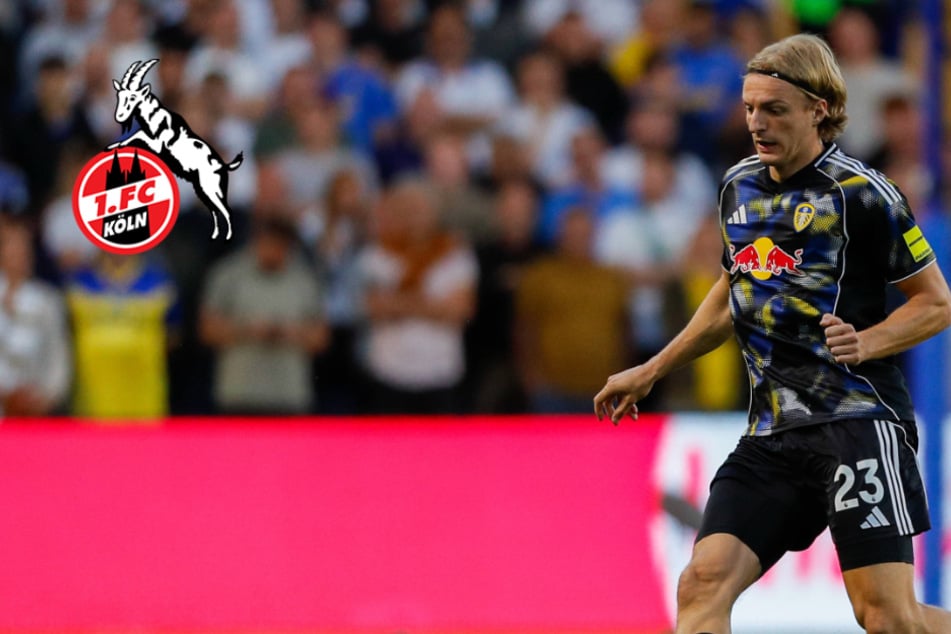 Ex-Spieler und Zweitliga-Stars auf dem Zettel: Schnappt sich der 1. FC Köln gleich drei Neue?