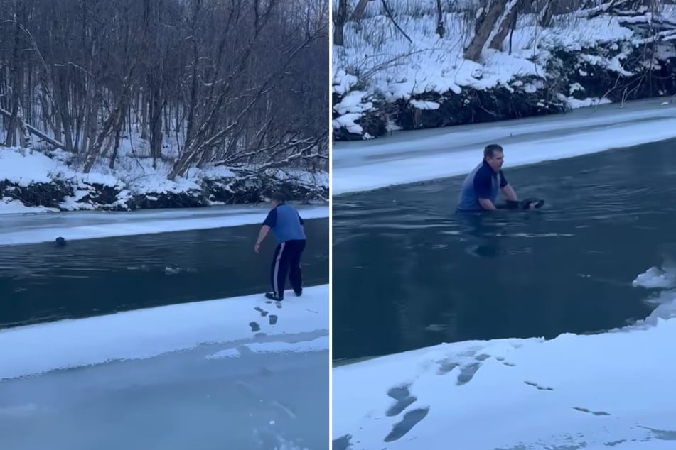 Eiskalt: Ein Mann schreitet zur Hunderettung in einem eiskalten Fluss.