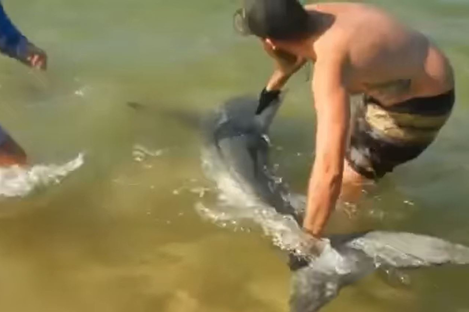 Fisherman thinks he's made a great catch, but ends up face to face with a great white shark!