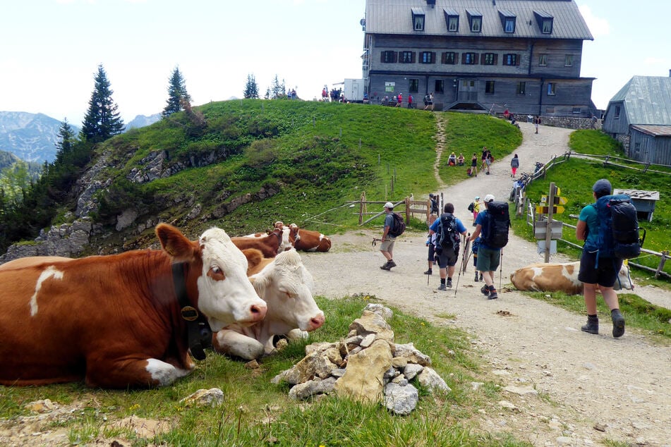 Das Rotwandhaus auf 1737 Metern Höhe ist ein beliebtes Ziel bei Wanderern im Mangfallgebirge.