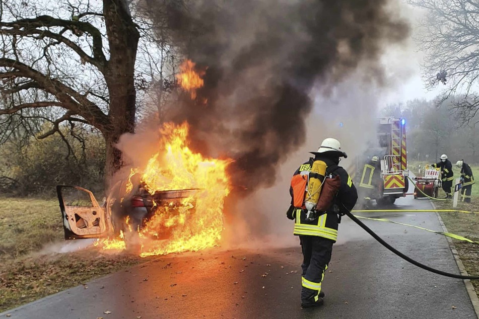 Auto kracht gegen Baum und geht in Flammen auf, Ersthelfer retten Fahrer