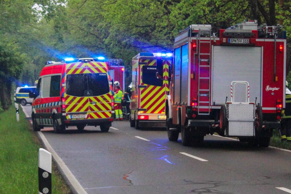 Die Feuerwehr musste den eingeklemmten Fahrer aus dem Wrack befreien.