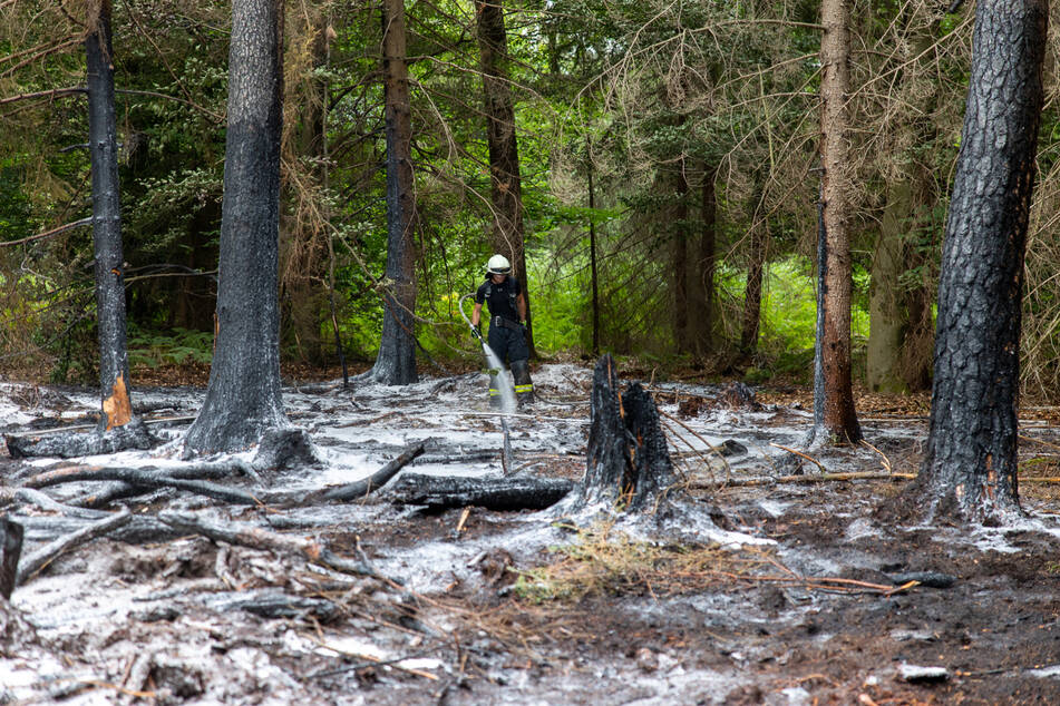 Bei zwei Waldbränden in Südhessen besteht der Verdacht auf Brandstiftung.