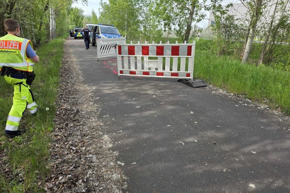 Die betroffene Stelle, an der die Wurzeln durch den Asphalt gebrochen sind, wurde abgesperrt.