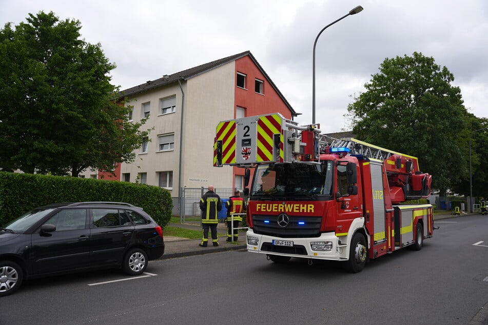 Die Feuerwehr konnte den Brand in der Wohnung in Leverkusen-Hitdorf schnell löschen, für mehrere Haustiere kam jedoch jede Hilfe zu spät.