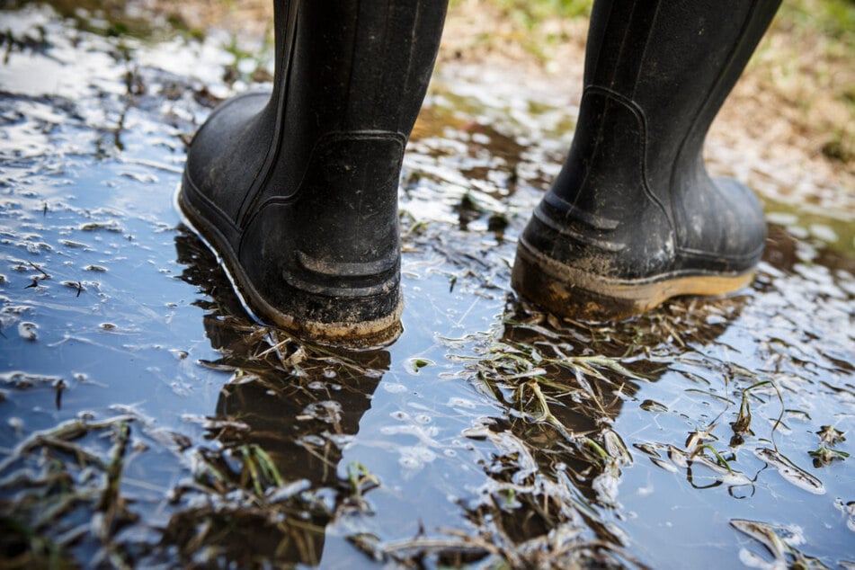 Laut der "Vereinigten Hagelversicherung" ist der Landwirtschaft in zwei Tagen Unwetter ein Schaden von 50 Millionen Euro entstanden. (Symbolfoto)