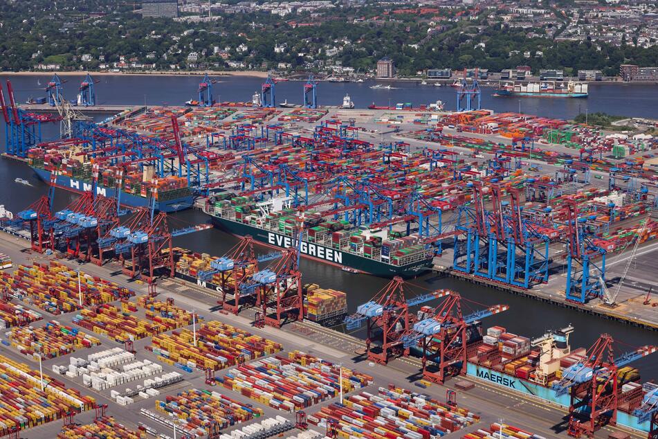 Der Fund gelang im vergangenen Jahr im Hamburger Hafen.