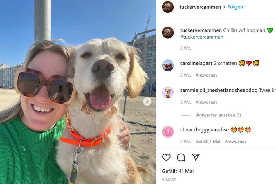 Charlotte Vercammen strahlt mit ihrem Goldenshire Tucker um die Wette.