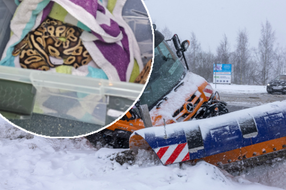 Schneechaos auf Sachsens Straßen: Python aus Unfallauto geborgen