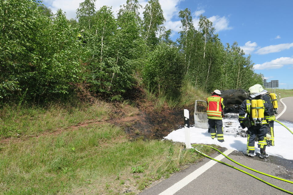 Das Feuer griff auch auf einen angrenzenden Grünstreifen über.