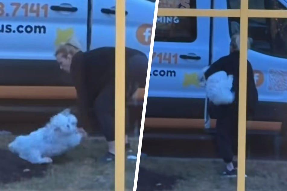 Bailey uważa, że zostaje porwany przez nieznajomą kobietę i od razu ucieka.