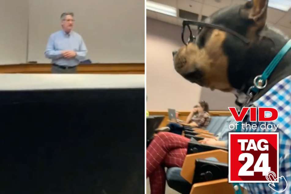 Today's Viral Video of the Day features a pup on TikTok who was able to sneak into a class and learn some new things!