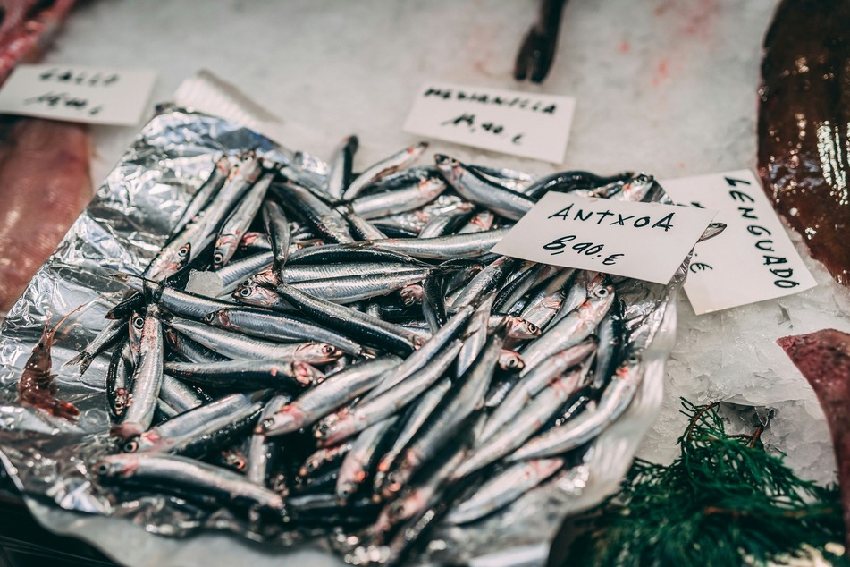Forage fish like anchovies have a far smaller carbon footprint than red meat.