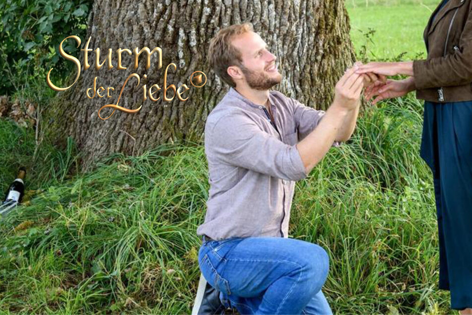 Sturm der Liebe: Sturm der Liebe: Florian geht auf die Knie - wer ist die Glückliche?