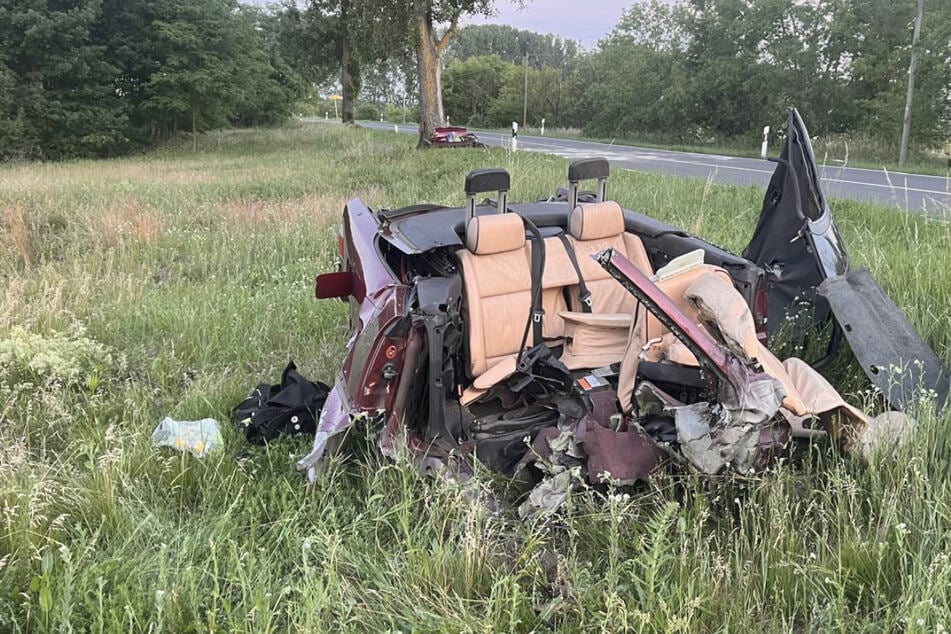 Der Fahrer erlag am Unfallort seinen schweren Verletzungen