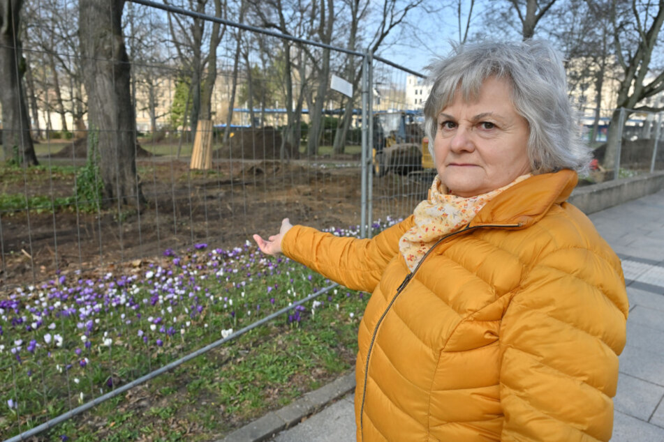 Bärbel Mann (69) trauert um die Krokuswiese am Schillerplatz.