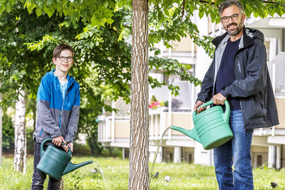 Wenn der Sommer wieder trocken wird: Dresdner wollen Bäume mit Wasser versorgen