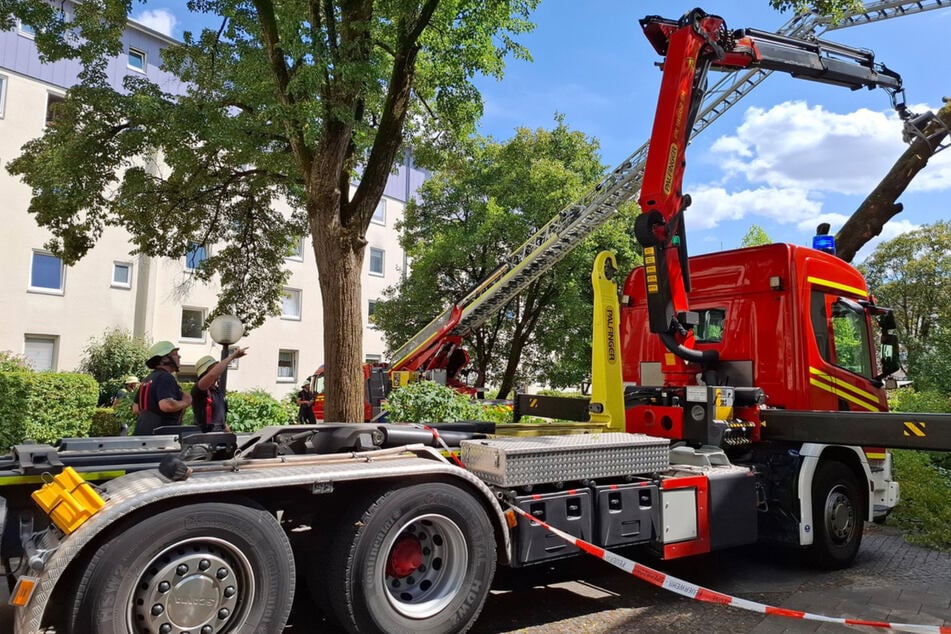 Die Feuerwehr konnte den Baum sichern und zerlegen.