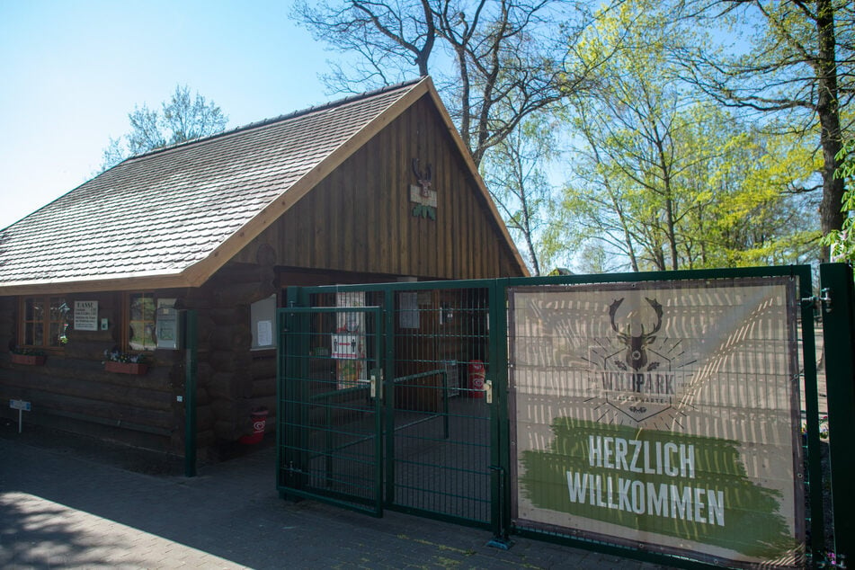 Der Wildpark Weißewarte muss in seiner jetzigen Form geschlossen werden. (Archivbild)