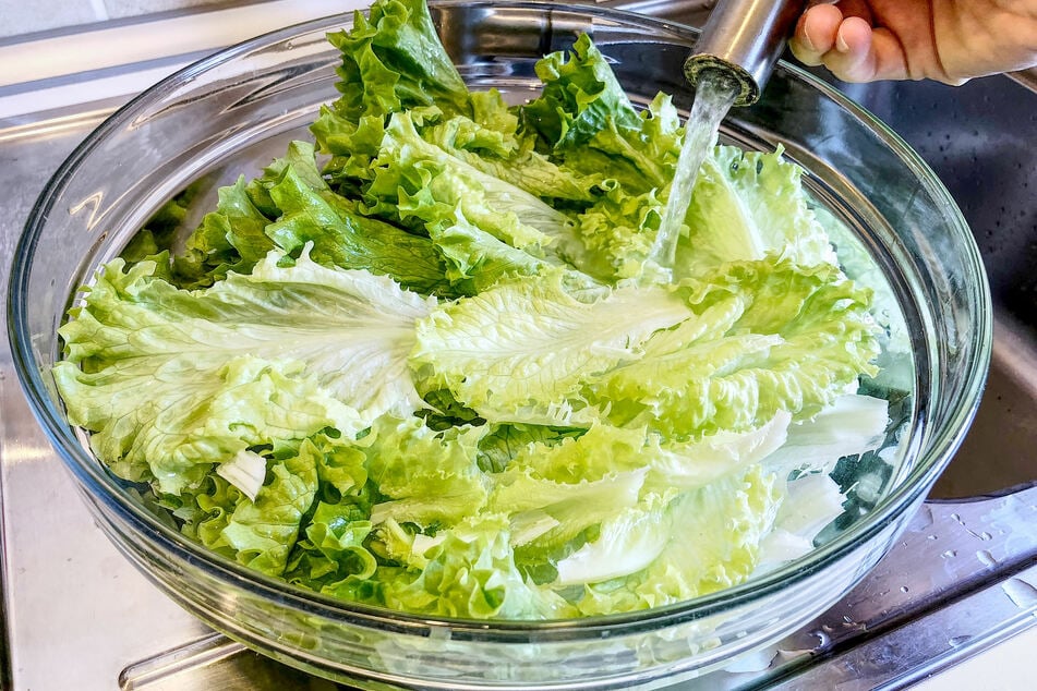 Salat wieder knackig machen? Dieser einfache Trick zeigt wie | TAG24