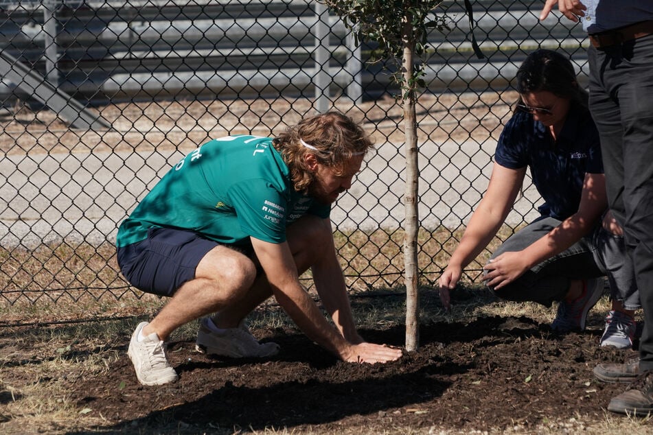 Vettel half höchstpersönlich beim Einpflanzen seiner ersten Bäume.
