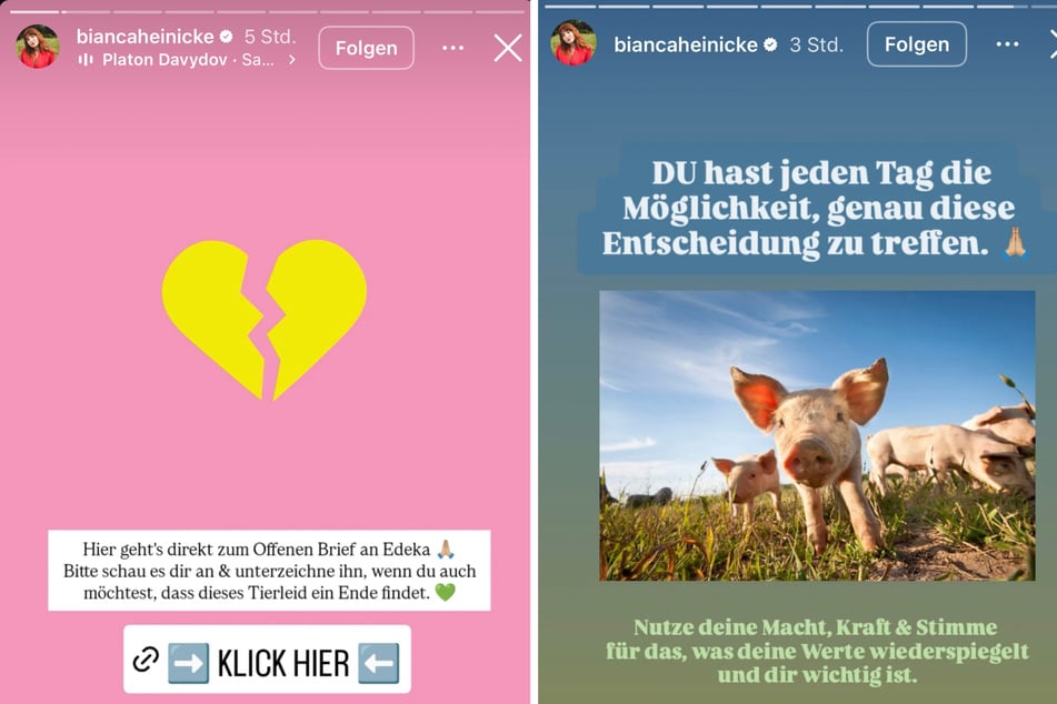 In ihrer Story teilt die Influencerin den Link zu dem offenen Brief von Greenpeace und hinterlässt moralische Botschaften.