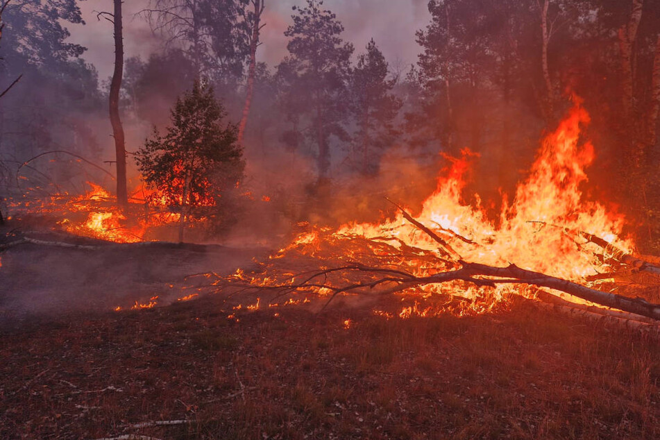 Auf einem Gebiet von rund 150 Hektar gibt es an vielen Stellen offene Flammen.