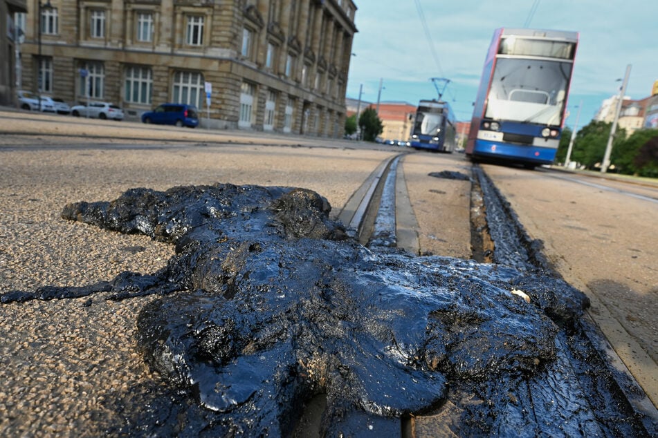 Von der Einstellung sind sämtliche Straßenbahnlinien in der sächsischen Stadt betroffen. Busse sollen so weit wie möglich planmäßig fahren.