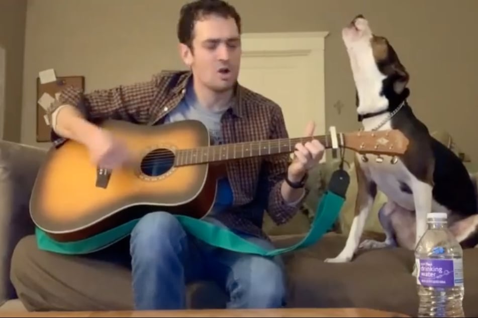 Dog sings along to country classic in amazing duet