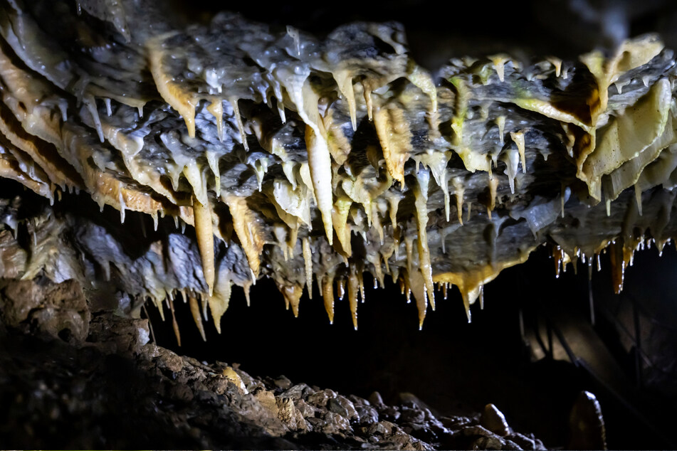 In der Tropfsteinhöhle sind 350 der 550 Höhlenmeter begehbar.