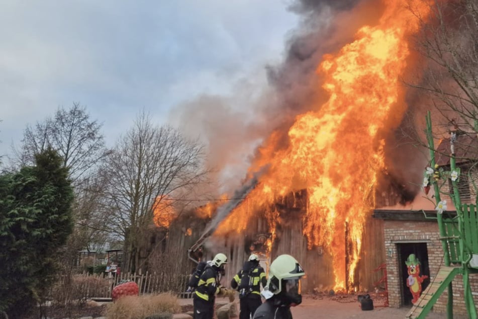 Feuer verursacht Millionenschaden auf Karls Erdbeerhof