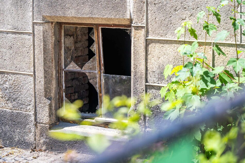 Vermutlich durch dieses Kellerfenster stiegen die Täter in das leerstehende Haus ein.