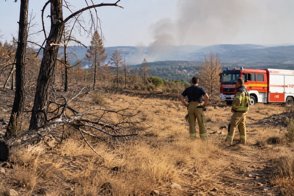 Hitze, Feuer, Supersturm: Ist das wirklich Klimawandel?