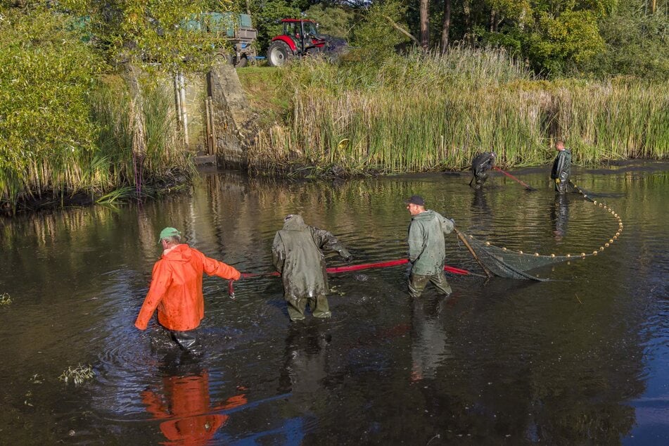 Der Waldteich Neusorge war nur zu einem Viertel gefüllt.