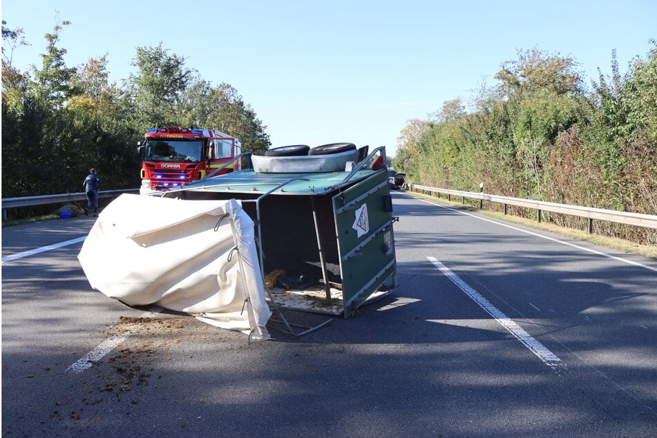 Glücklicherweise überlebte das Pferd den Crash.