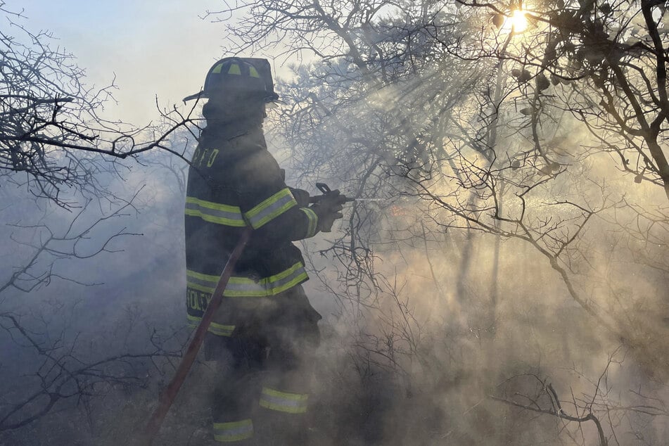 Firefighters and the military try to put out the fires.