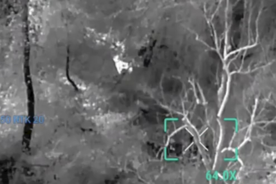 The drone images showed dog Moon roaming through the woods near the accident site.