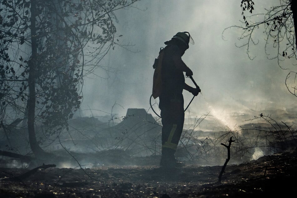 Mittlerweile gilt Brandstiftung als Ursache für den Waldbrand im Main-Kinzig-Kreis als sehr wahrscheinlich.