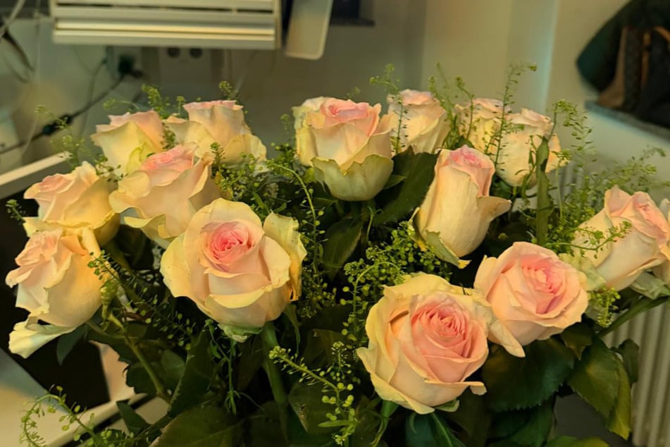 Rosen am Krankenbett der Schwester. Zora besucht Mirjana täglich im Diakonissenkrankenhaus.