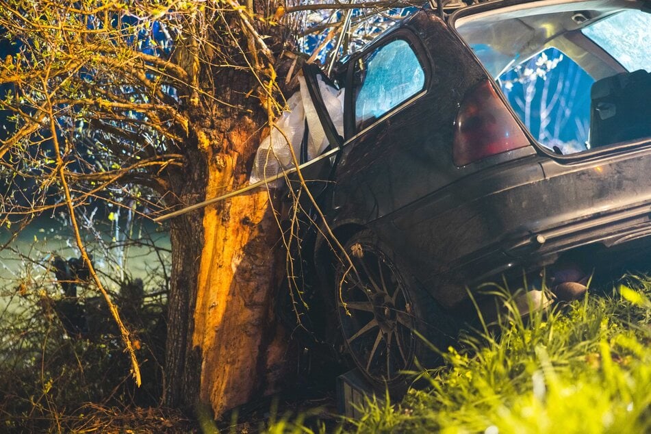 Die Kollision mit dem Baum sind deutlich zu erkennen.