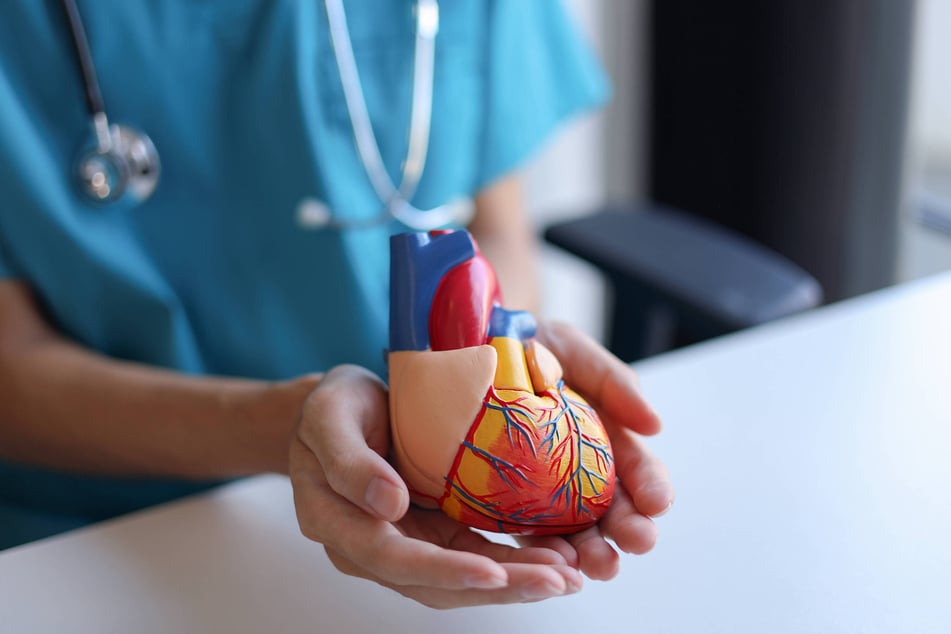 Um den Behandlungserfolg zu messen, setzt die Studie auf MRT-Bildgebung und klinische Beurteilung.