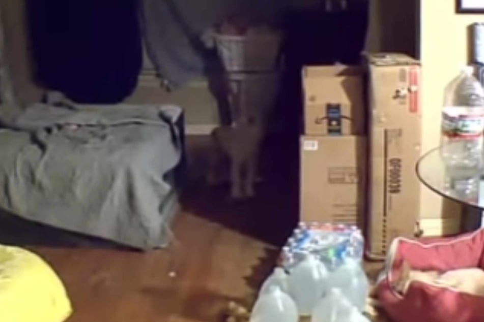 Křik rozbil Priscille Lopez (32) srdce.